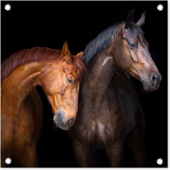 GreatGardenPosters Tuinposter Paard - Bruin - 50x50 cm - Buitenposter - Landelijk