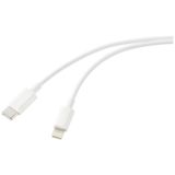 Renkforce RF-5724080 Câble USB USB 2.0 Connecteur USB-C, Connecteur Apple Lightning 2,00 m Blanc