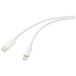 Renkforce RF-5724080 Câble USB USB 2.0 Connecteur USB-C, Connecteur Apple Lightning 2,00 m Blanc