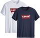 Levis T-shirt Graphic Set-In Neck Set van 2