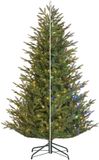 Black Box Sapin de Noël Frasier x-mas tree led vert ww/multi288l embouts 1880 minuterie/variateur 185xd124cm