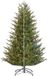 Black Box Sapin de Noël Frasier x-mas tree led vert ww/multi288l embouts 1880 minuterie/variateur 185xd124cm