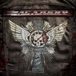 Black Ac Angry - Black Denim