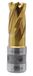 FEIN Foret à carotter SMI HSS TiN, diamètre 16 mm, profondeur de coupe 30 mm, emmanchement FEIN Quick-In