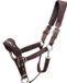 Pagony Halster Reno - Taille : Pony - Marron - Nylon