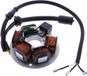 101 OCTANE IP36080 stator pour Piaggio