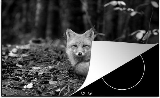 KitchenYeah® Inductie beschermer 77x51 cm - Rustende vos - zwart wit - Inductiebeschermer