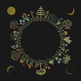 Wheel Laura Stevenson Wheel LP