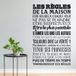 Sticker Mural Citation Règles De La Maison - 57x88 cm - Noir