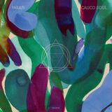 K7 Music Calico Soul