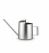 Mini arrosoir en acier inoxydable - Compact et durable - 300 ml