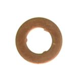Seal ring, nozzle holder