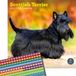 Baker & Bray Baker And Bray Schotse Terrier Kalender 2027