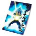 SD Toys Poster Dragon Ball Super Universal Survival Vegeta