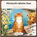 Pilchard's Whole Year: Seven Harbour Cat Books in One