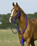 QHP Touwhalster Combi Liberty Middenblauw X-Full