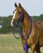 QHP Touwhalster Combi Liberty Middenblauw X-Full