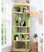 Arbre à chat d'angle - Cactus vert - 168 cm - Trois maisons