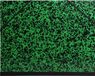 Exacompta Tekenmap Annonay met elastieken 52x72cm - formaat Raisin - Groen - 542800UNISE