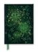 Anna Flame Tree Notebooks- Anna Stead: Green Man (Foiled Journal)