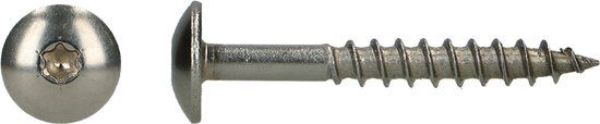 pgb-Europe PGB-FASTENERS HPL schroef platbolkop Tx20 4,8x32 A4
