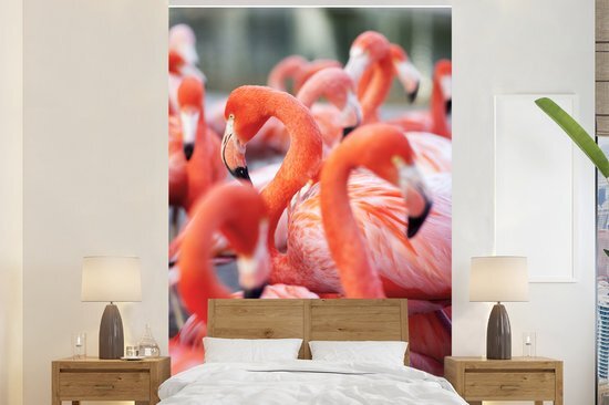 Nr1Wallpaper Behang - Fotobehang - Groep flamingo's op zoek naar eten - Breedte 195 cm x hoogte 300 cm