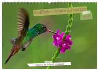 Colibris Calvendo Colibris - éclats de nature (Calendrier mural 2027 DIN A2 vertical), CALVENDO calendrier mensuel