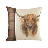 Evans Lichfield Hunter Highland Koe Kussenhoes, Multi, 43 x 43cm