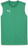 Puma TeamFINAL Training Jersey SL Sport Green-Puma Silver