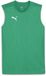 Puma TeamFINAL Training Jersey SL Sport Green-Puma Silver