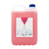 VALQUER Strawberry Shampoo | Strengthens and Protects Hair | Deep Cleansing and Softness for All Hair Types | Vegan, Silicone-Free Formula | Professional 5L Bottle