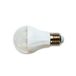 LED A60 E27 10W