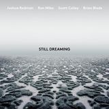 Still Nonesuch Still Dreaming (Feat. Ron Miles & Scott Colley & Brian Blade)