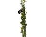 Bellatio Design Kunstplant Hangplant Slinger Klimop Hedera Groen 180 cm