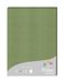 Clairefontaine 24270C - Pak van 25 Vellen A4 21x29,7cm Saliegroen 210g