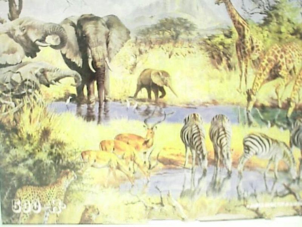 James Hamilton Puzzles Legpuzzel African waterhole