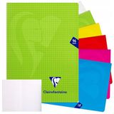 Clairefontaine 303742C Mimesys Notitieboek