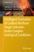 Intelligent Springer Geology- Intelligent Evaluation of Coalbed Methane Target Selection Under Complex Geological Conditions