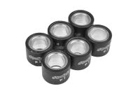 Rollen Polini Rollenset 19x15,5mm 5,0 Gram