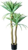 Alexandra House Living Decoratieve plant Alexandra House Living Plastic Cassave 120 cm