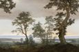 Eijffinger Magnifique Behang 351290