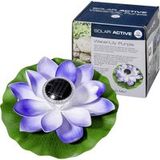FIAP 3206-2 SOLAR ACTIVE WaterLily Violet