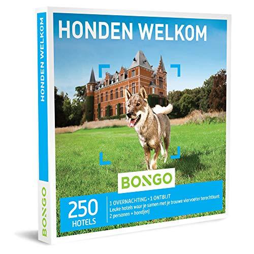 BONGO Bon - Honden Welkom | Cadeaubonnen Cadeaukaart cadeau voor man of vrouw | 250 diervriendelijke hotels