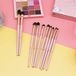 ENERGY 10-in-1 roze oogborstelset, make-upkwastenset