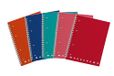 Pigna 02155594M Spiraalboek met gaten en microperforatie, 70 vellen, verschillende kleuren
