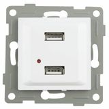 Stopcontact Inbouwstopcontact wit met dubbele USB-poort, modern design, 2