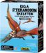 4M Graaf Je Dino Op - Pteranodon - Kit de fouille et squelette de modèle - KidzLabs - 8 ans