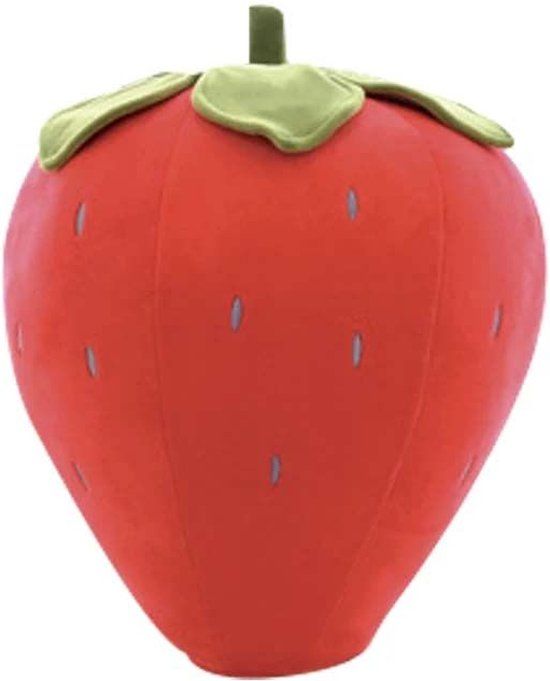 Hondenkussen - Aardbeienpatroon - 40cm - Rood - Ovaal - Afneembare hoes - Machinewas