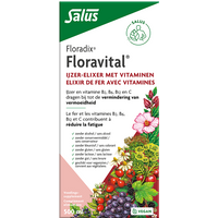 Floradix Floravital Ijzer-Elixir met Vitaminen - 500ml