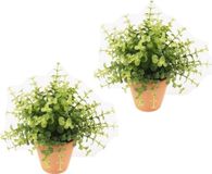 Bellatio Flowers & Plants 3x stuks kunstplant eucalyptus groen in pot 20 cm